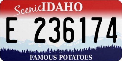 ID license plate E236174
