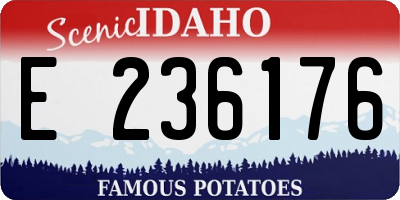 ID license plate E236176