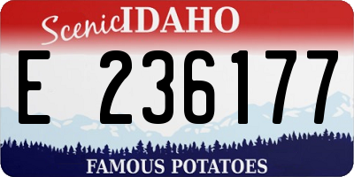 ID license plate E236177