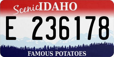 ID license plate E236178