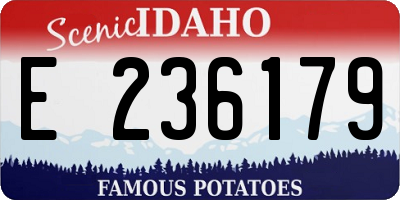 ID license plate E236179