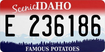 ID license plate E236186