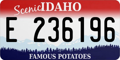 ID license plate E236196