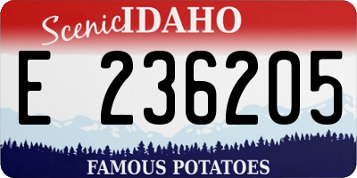 ID license plate E236205