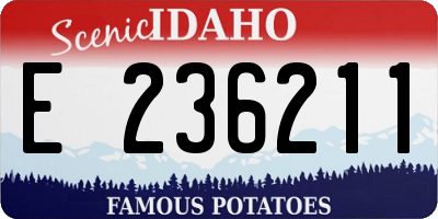 ID license plate E236211