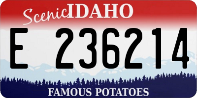 ID license plate E236214