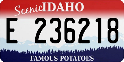 ID license plate E236218