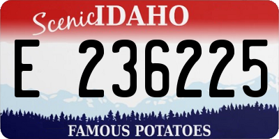 ID license plate E236225
