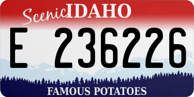 ID license plate E236226