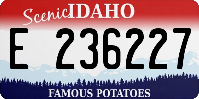 ID license plate E236227