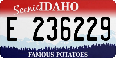 ID license plate E236229