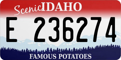 ID license plate E236274