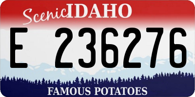 ID license plate E236276