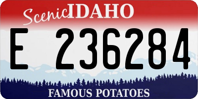 ID license plate E236284