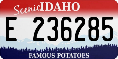 ID license plate E236285
