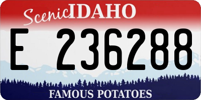 ID license plate E236288