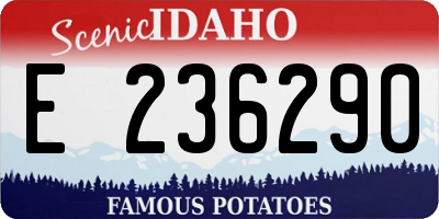 ID license plate E236290