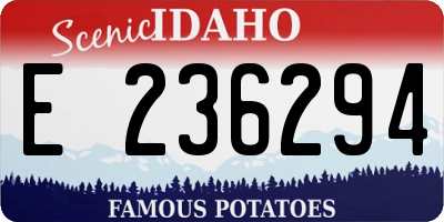 ID license plate E236294