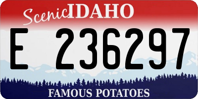 ID license plate E236297
