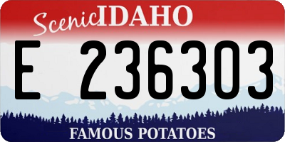 ID license plate E236303