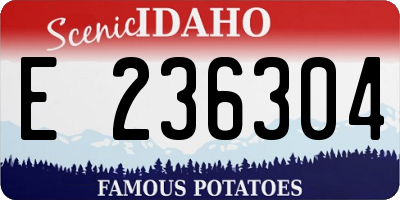 ID license plate E236304
