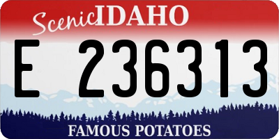 ID license plate E236313