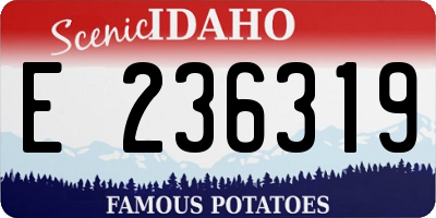 ID license plate E236319