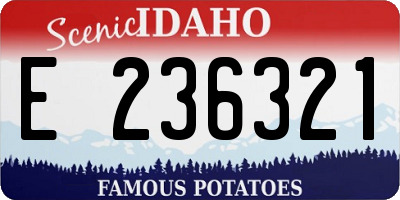 ID license plate E236321