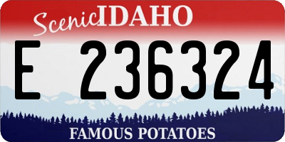 ID license plate E236324