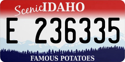 ID license plate E236335