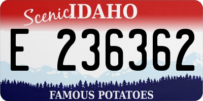 ID license plate E236362