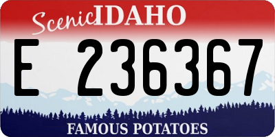 ID license plate E236367