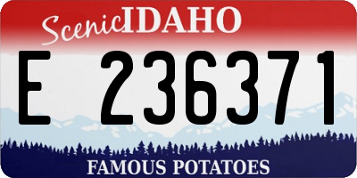 ID license plate E236371