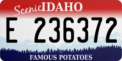 ID license plate E236372
