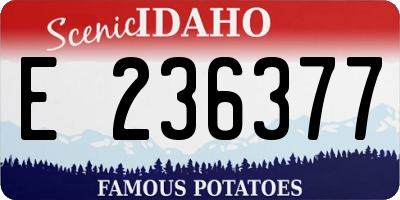 ID license plate E236377