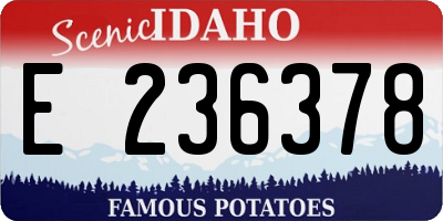 ID license plate E236378