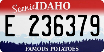 ID license plate E236379