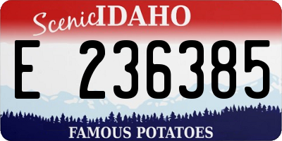 ID license plate E236385
