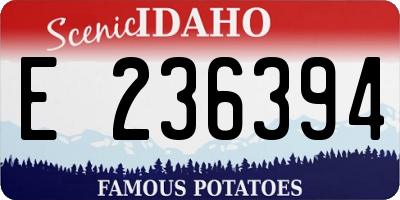 ID license plate E236394