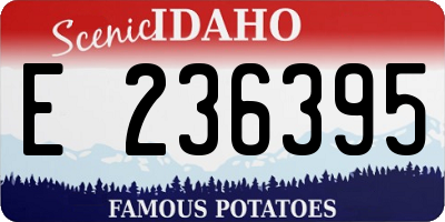ID license plate E236395