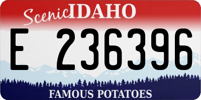 ID license plate E236396
