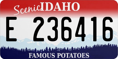 ID license plate E236416