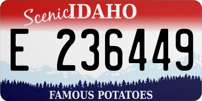 ID license plate E236449