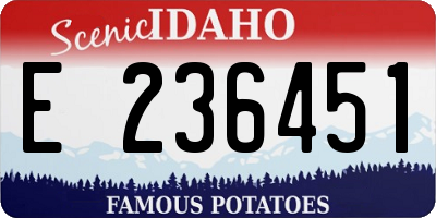 ID license plate E236451