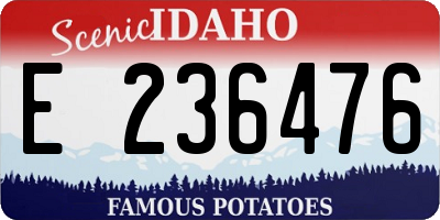 ID license plate E236476