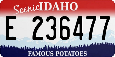 ID license plate E236477