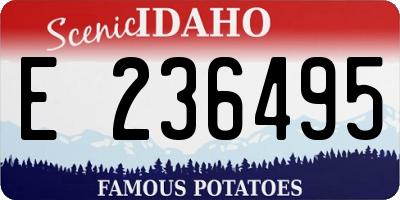 ID license plate E236495