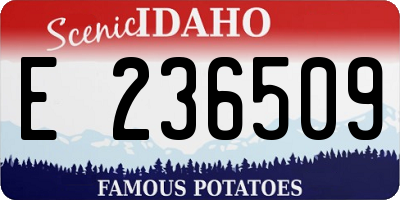 ID license plate E236509