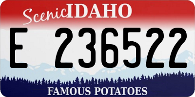 ID license plate E236522