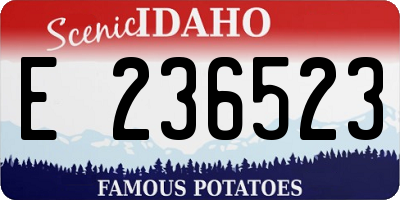 ID license plate E236523